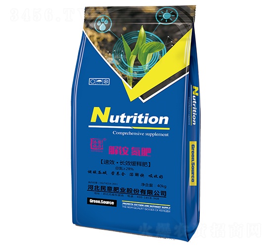 ���@����-����ʘI(y��)