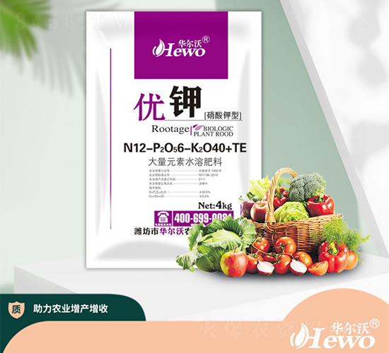 ����Ԫ��ˮ�ܷ�12-6-40+TE-��(y��u)�-�A����