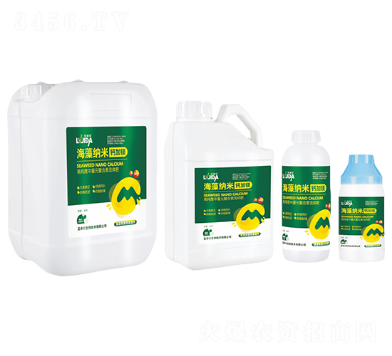 ����{���}�V-�G���}-������