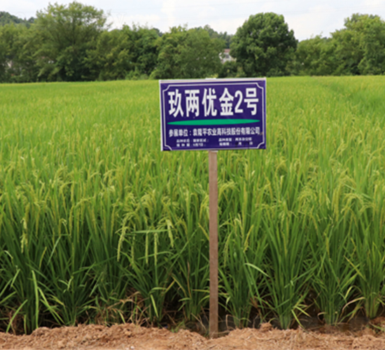 ���Ƀ�(y��u)��2̖-ˮ���N��-¡ƽ�N�I(y��)