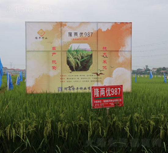 ¡�Ƀ�(y��u)987-ˮ���N��-¡ƽ�N�I(y��)