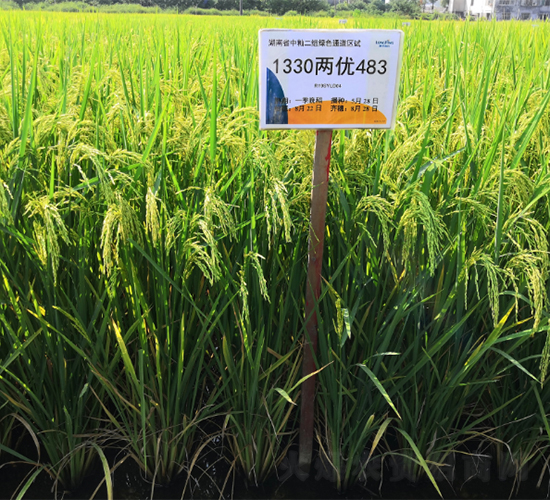 ���Ƀ�(y��u)�S��ռ-ˮ���N��-¡ƽ�N�I(y��)