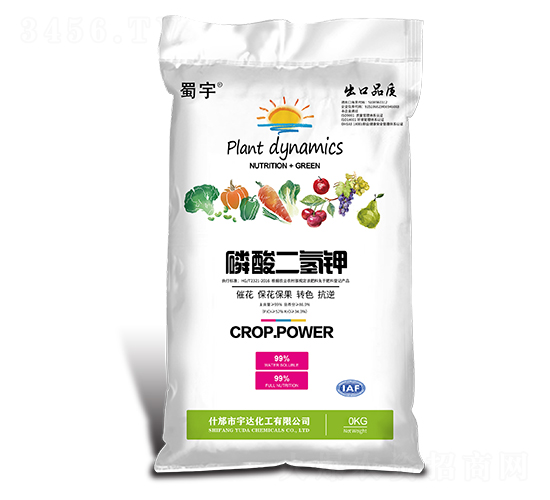 ��������-����-���_(d��)����