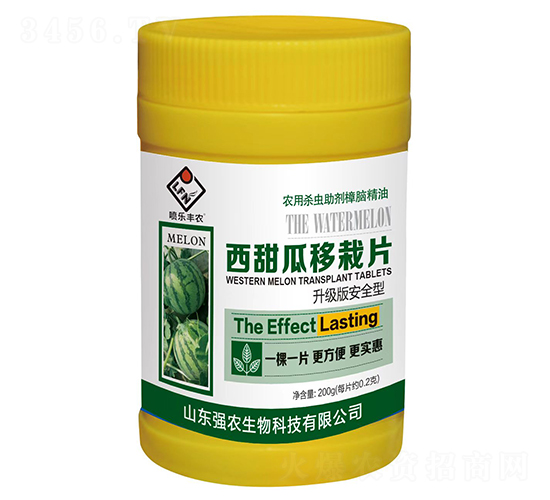 ���������Ƭ-�����S�r(n��ng)-��(qi��ng)�r(n��ng)����