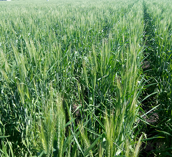 ����10̖-С���N��-���S�N�I(y��)