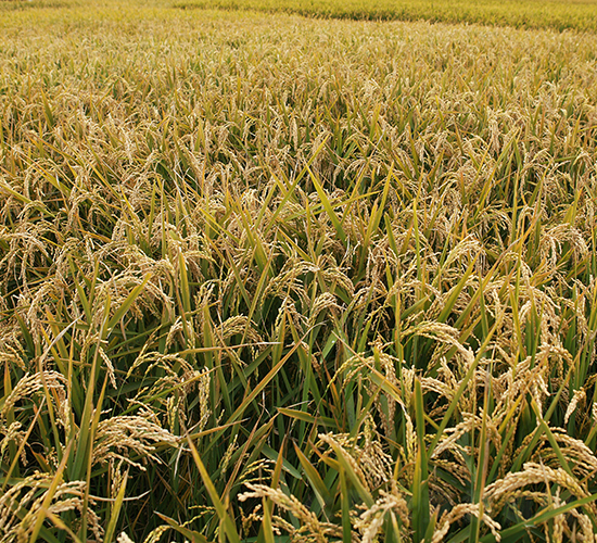 ����27-ˮ���N��-���S�N�I(y��)