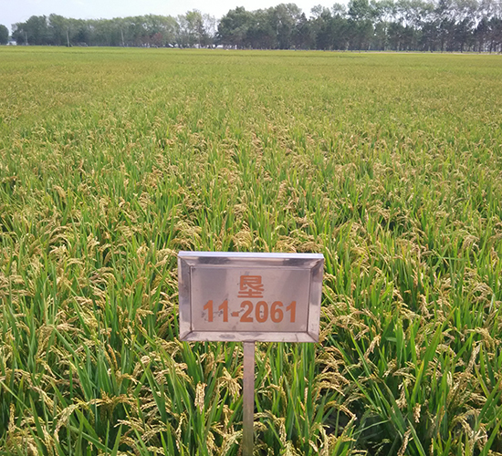 ����32-ˮ���N��-���S�N�I(y��)