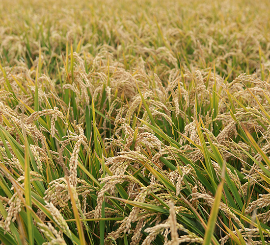 ����25-ˮ���N��-���S�N�I(y��)