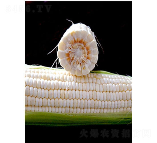 ������Ŵ-���׷N��-�r���N��