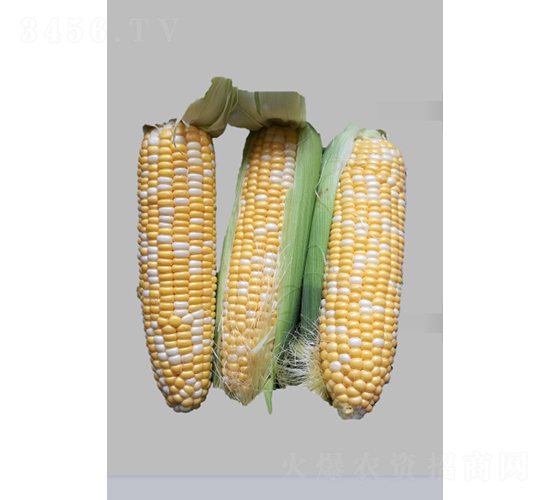 ����-���׷N��-�r���N��