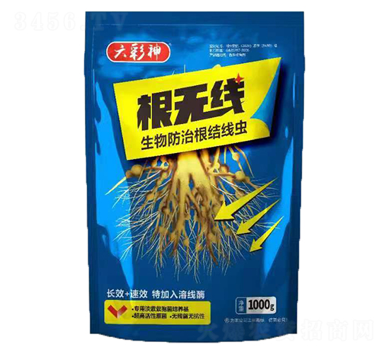 ���o��-������-�f������