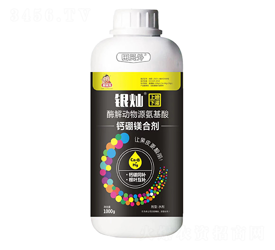 �}���V�τ�-�y�N-�f������