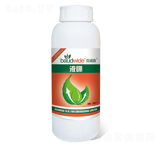 Һ��-������