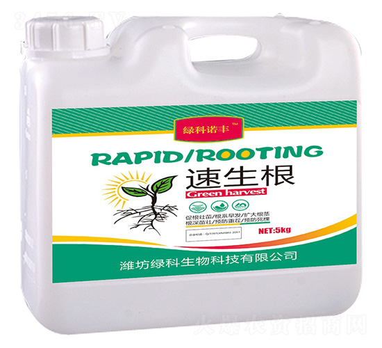 ������-�G���Z�S-�G������