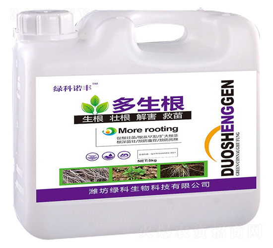 5kg������-�G���Z�S-�G������