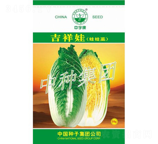 ������-�ײ˷N��-�зN���F(tu��n)