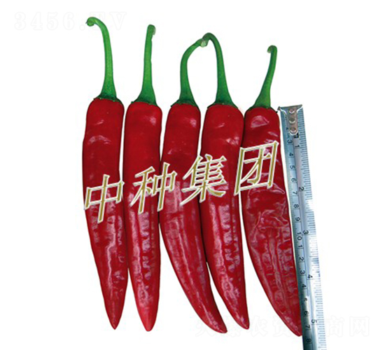 �dԴ818-�����N��-�зN���F(tu��n)