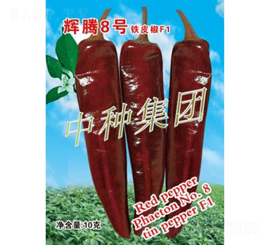 �x�v8̖-�����N��-�зN���F