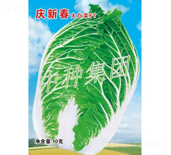 �c�´�-�ײ˷N��-�зN���F(tu��n)