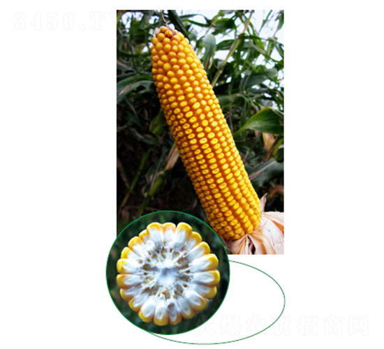 �L��315-���׷N��-�зN���F(tu��n)