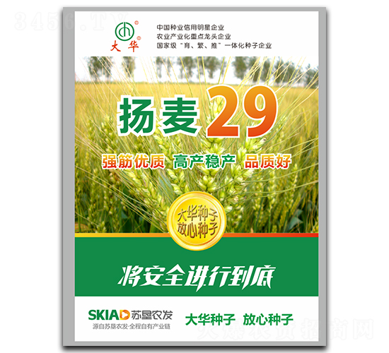 �P(y��ng)��29-С���N��-���A�N�I(y��)