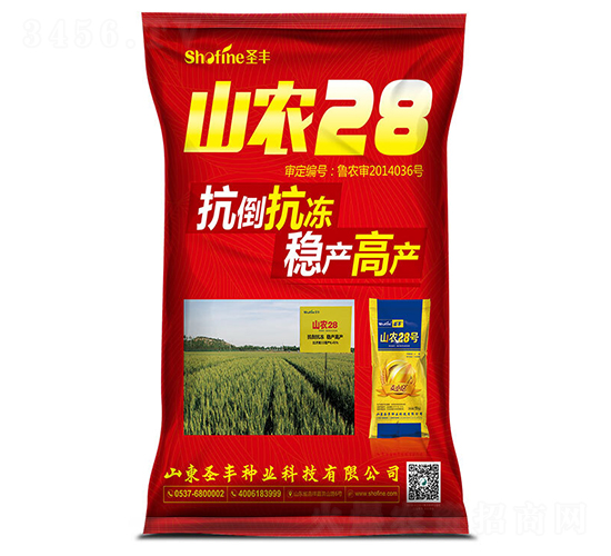 ɽ�r(n��ng)28-С���N��-ʥ�S�N�I(y��)