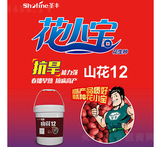 ɽ��12-�����N��-ʥ�S�N�I(y��)