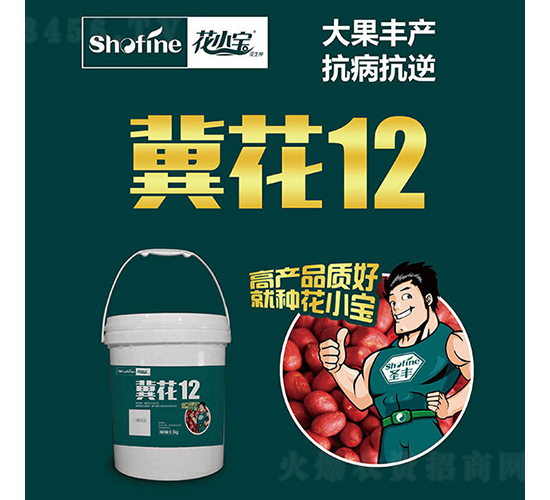 ����12-�����N��-ʥ�S�N�I(y��)