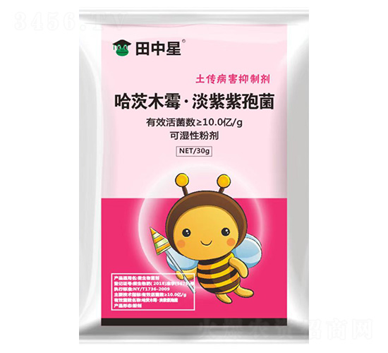 ����ľù���������߾�-������