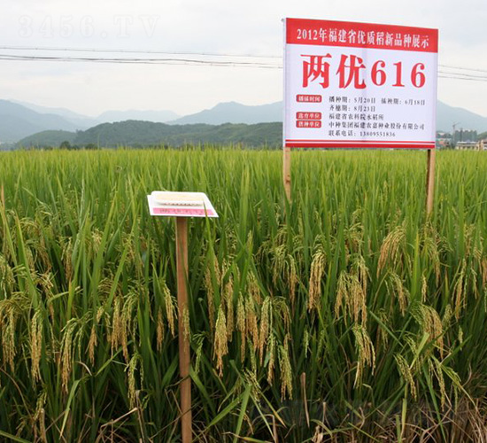 �Ƀ�(y��u)616-ˮ���N��-�зN���F