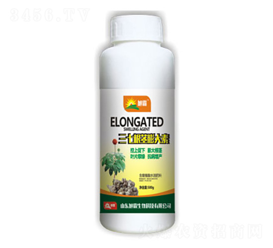 ���߸��o�����-�������