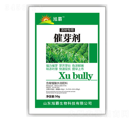 ��ѿ��-�������