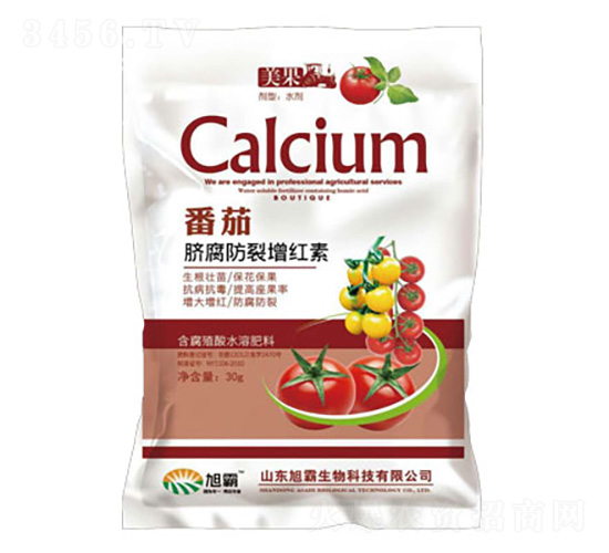 ����Ě���������t��-�������