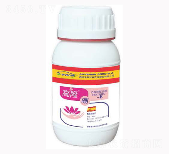 ��¡��-¡�ꠖ