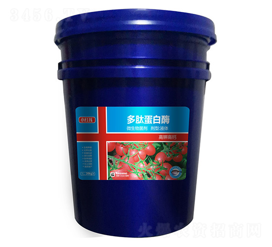 ���ĵ���ø-С�t��-�f���r(n��ng)��