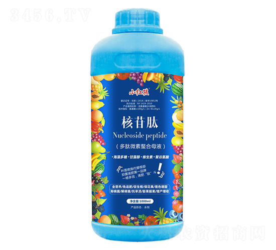 �����-С�t��-�f(w��n)���r(n��ng)��