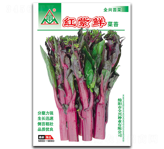 �t���r-��̦�N��-ȫ�d�N�I(y��)