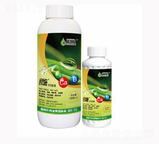 �}�V��-��ʩ-������