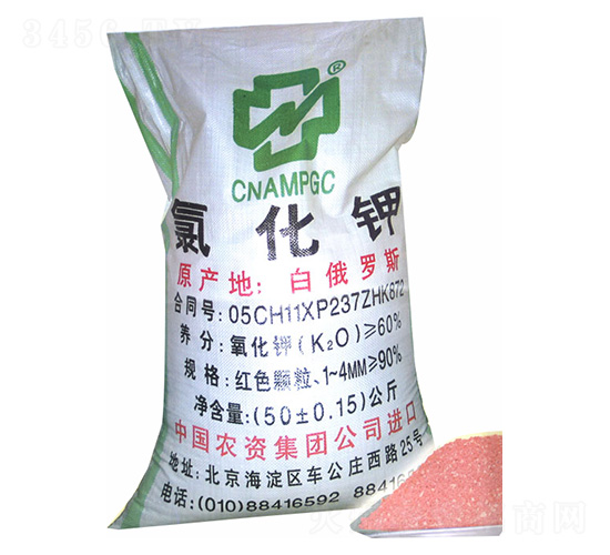 �Ȼ��-���r(n��ng)�r(n��ng)�Y