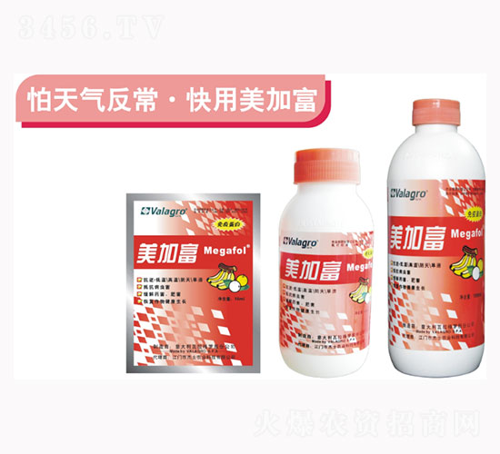 ���Ӹ��������߄�-��ʿ�r(n��ng)�I(y��)