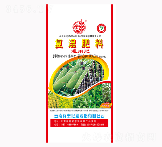 ������͏�(f��)�����11-8-6-���S