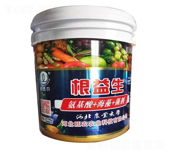 ������+����+����-������-���r�r�I(y��)