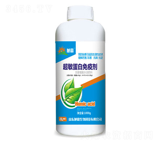 1000�˳����������߄�-�������