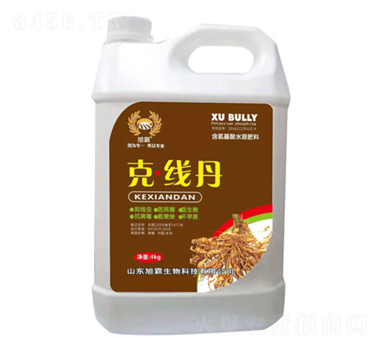 �˾���-�������