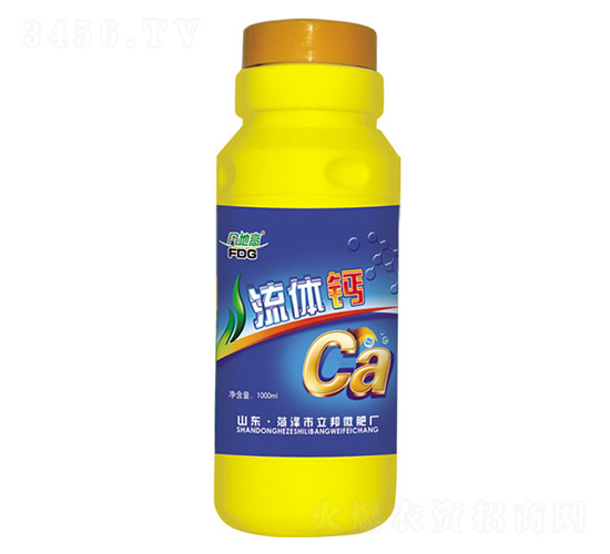 ���w�}-���ظ�-��������