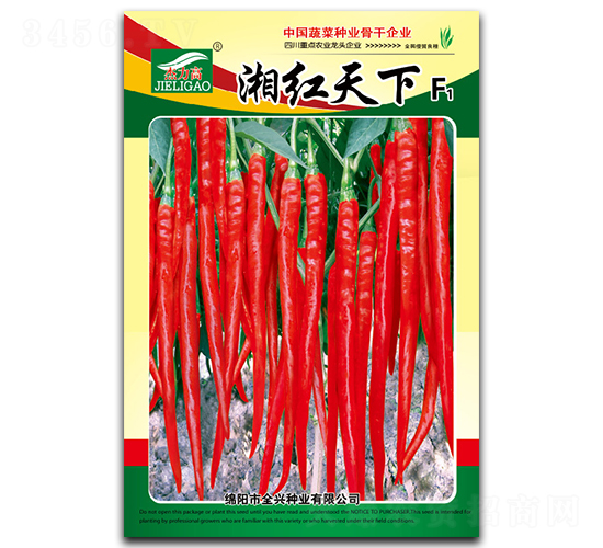 ��t����-�����N��-ȫ�d�N�I(y��)