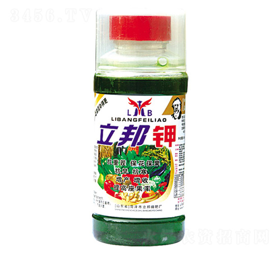 �����-��������