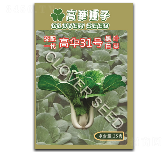 ���A31̖-�ײ˷N��-���ڷN��