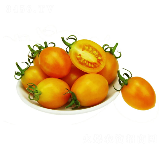 �̭t-С���ѷN��-���ڷN��