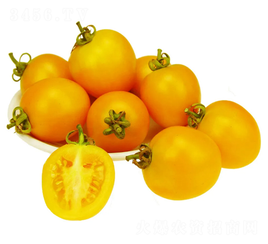 �ǻ�-С���ѷN��-���ڷN��